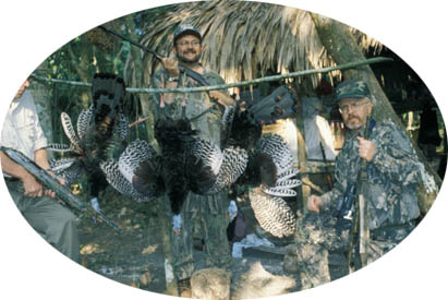 More Hunters with Ocellated Turkeys